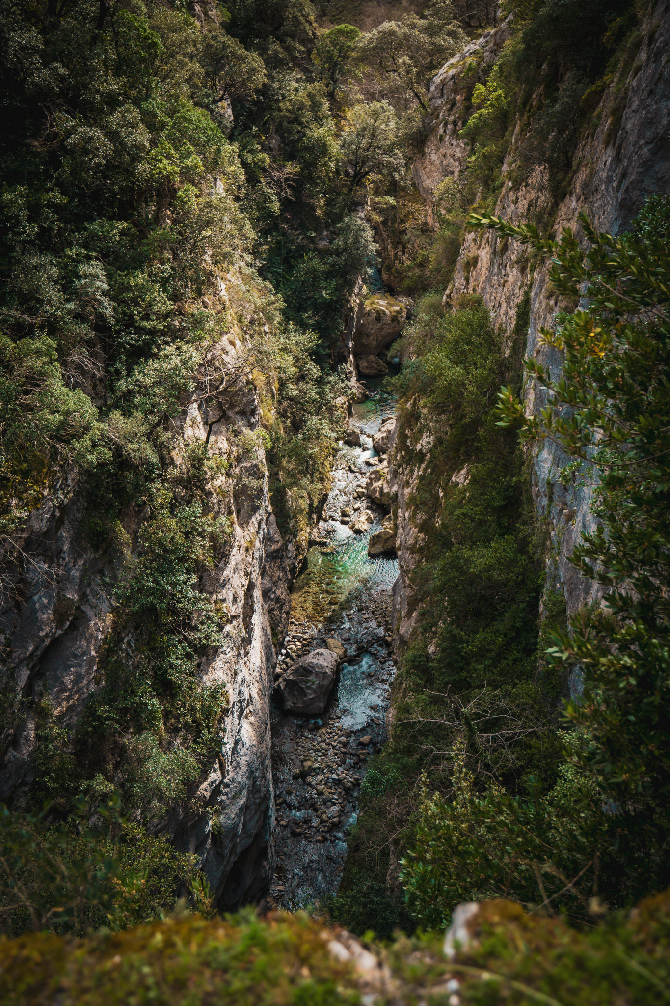 Picos de Europa photo 15